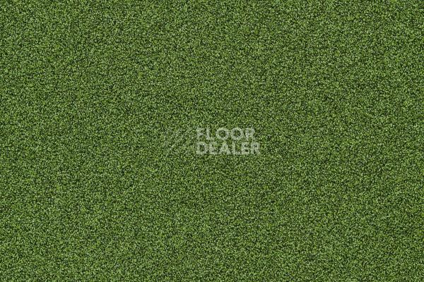 Ковровая плитка Interface Polichrome Stipple 4265016 Cactus фото 1 | FLOORDEALER